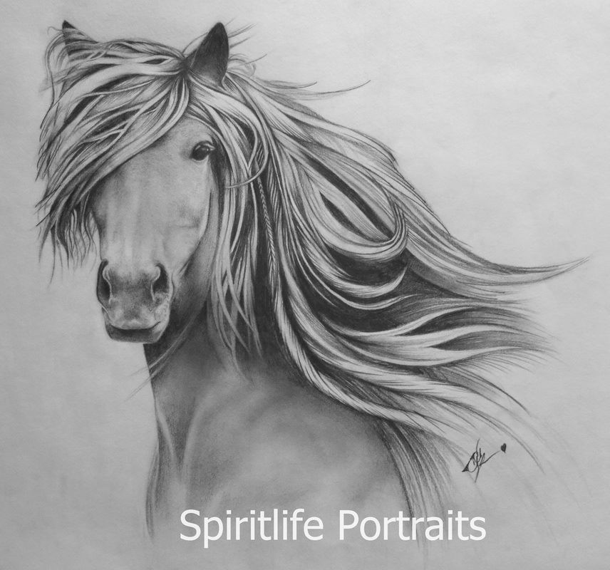 Spiritlife Equestrian Portraits
